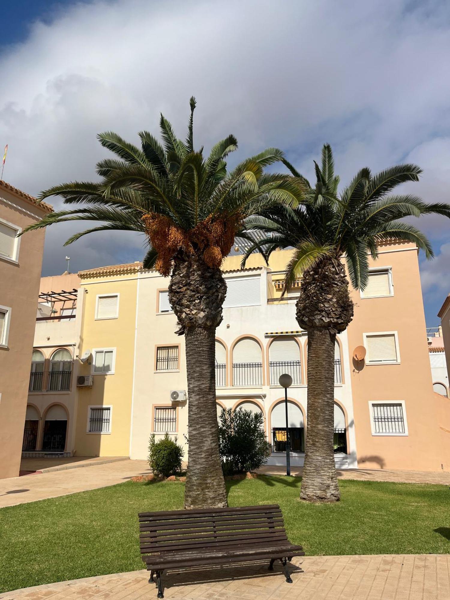 Torrevieja 2 Bedrooms Appartment Exterior photo