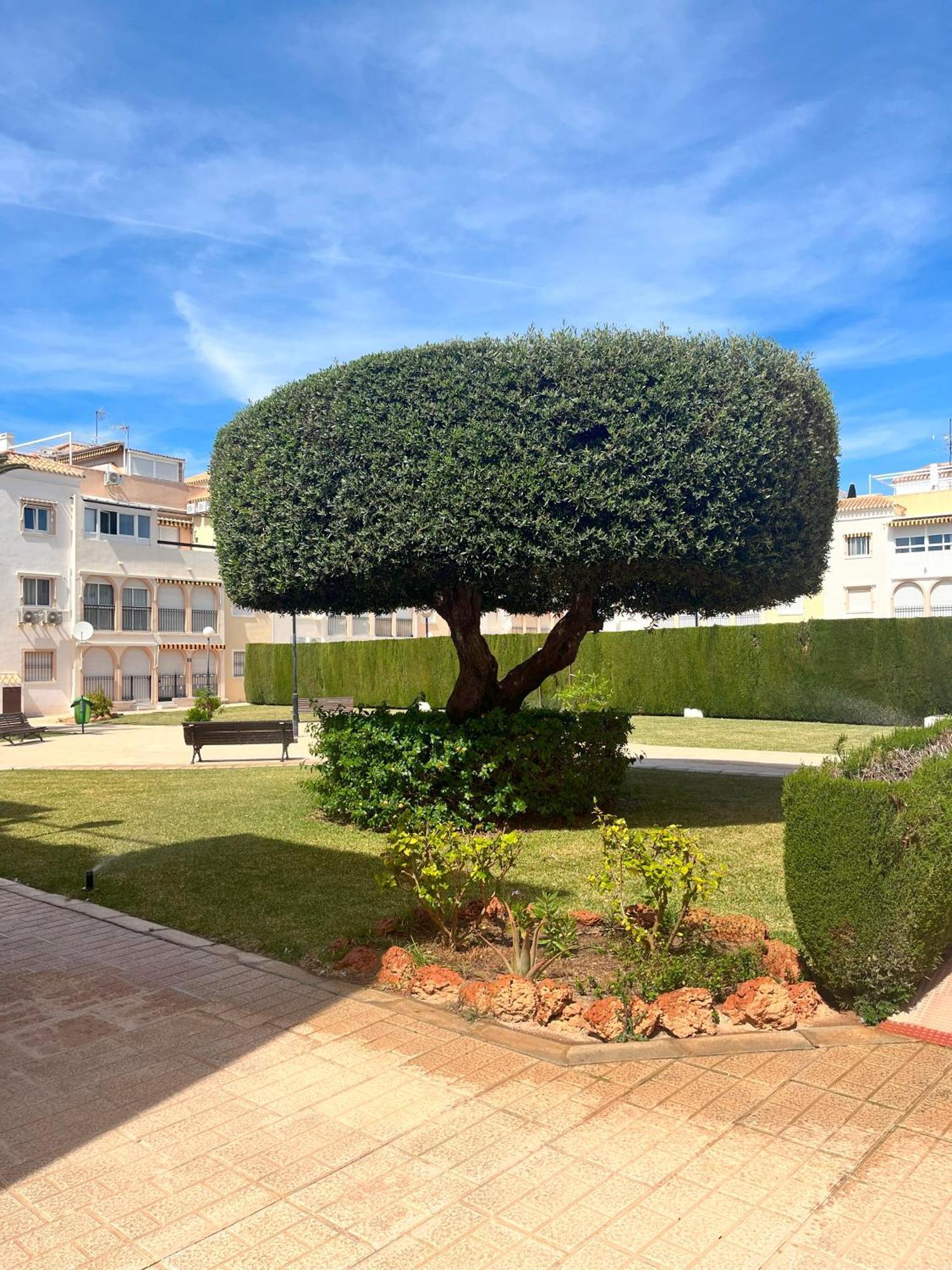 Torrevieja 2 Bedrooms Appartment Exterior photo